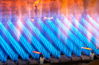 Molesden gas fired boilers